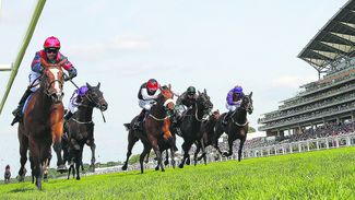 Shergar Cup success stories: five horses who went on to big things