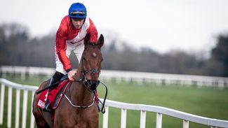 Horses moving yards: is it a handicap and will it affect Envoi Allen?
