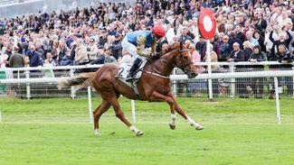 Hamilton: big-money buy Catalyse 20-1 for the Coventry Stakes after impressive debut win