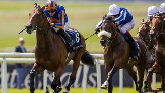 Which horse caught your eye with a view to Royal Ascot? Our experts have their say
