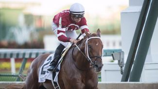 Gun Runner sets up possible Dubai World Cup tilt with easy win