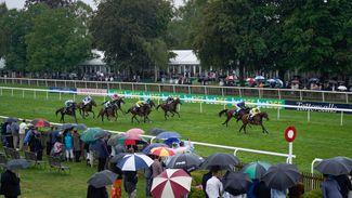 Showers and strong winds forecast for Newmarket following wet Friday