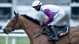 Why this 20-1 shot is the right type at the right price for the Albert Bartlett