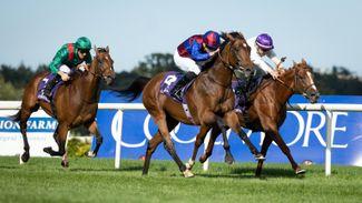 Good, good to firm in places at Leopardstown and the Curragh ahead of Irish Champions Festival