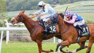 Keith Melrose assesses the major players in Wednesday's big staying handicap