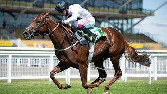 A first stakes scorer for Mehmas as Method lands Rose Bowl