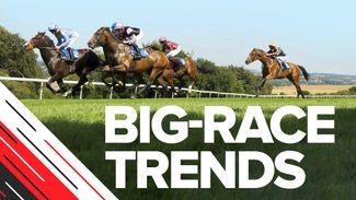 Big-race trends: who can deny Aidan O'Brien another Futurity Trophy?