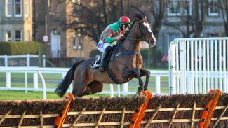 Tommy's Oscar talk sums up desperate lack of depth in Champion Hurdle division