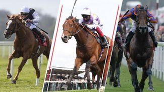 Should you back or avoid these five favourites on British Champions Day at Ascot?
