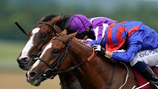 Nayef on the Road to the St Leger after battling Gordon Stakes victory