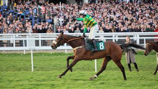 'It's done them both good' - Iroko steps up Cheltenham prep with racecourse schooling session under Jonjo O'Neill Jr