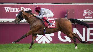 Watch Me's sire Olympic Glory the latest to advertise strength of 2015 intake