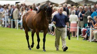 Why Godolphin and Dubawi could both do with a Derby colt