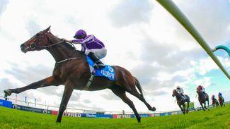 Saxon Warrior hard to beat in Derby but Kew Gardens has each-way appeal