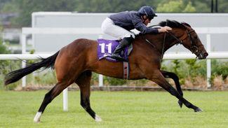 Sire of September could make a deeper impact at Coolmore