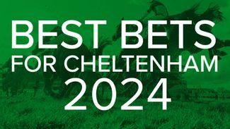 Cheltenham 2024: early tips from our experts, including 16-1 fancies from Tom Segal and Paul Kealy