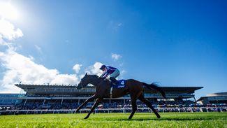 Leopardstown anticipating 'lovely racing ground' for day one of the Irish Champions Festival on Saturday