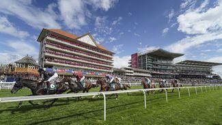 Having a bet at York today? Here's what you need to know before you do