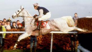 Prospect of King George brings Desert Orchid to mind