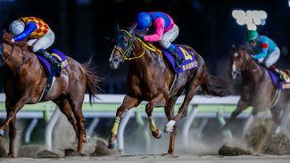 History made as Meisho Hario becomes first horse to win back-to-back runnings of the Teio Sho