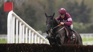 Gold Cup quotes aplenty for Delta Work after easy win in Champion Novice Chase
