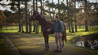 Onwards and upwards for Sea The Stars