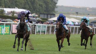 Newmarket: Amo Racing's Persian Dreamer the headline of 'brilliant' 1,910-1 four-timer for Kevin Stott