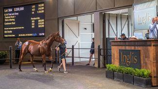 Trio of $200,000 lots top final day of Inglis Broodmare Sale
