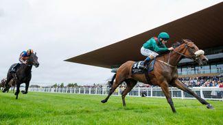'The plan at the moment is to run on Sunday' - 1,000 Guineas favourite Tahiyra given Newmarket green light