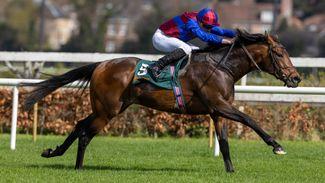 Who is the Leopardstown trial winner you should be following as the season unfolds?
