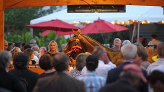 Giddy Saratoga numbers signal strong market for upcoming yearling sales