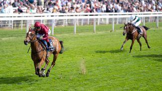 'I wasn't expecting that!' - more joy for Dettori as Soul Sister is slashed for Oaks after Musidora romp