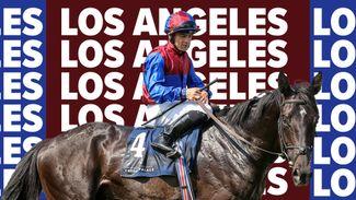 Los Angeles: the unbeaten colt who could be the star in the Derby for Aidan O'Brien