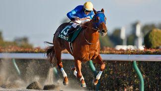 Lemon Pop fizzes at Tokyo for Godolphin to set up likely top-level campaign