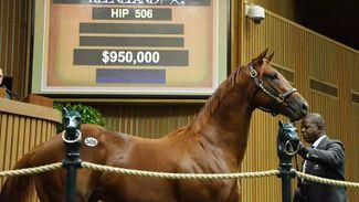 Radcliffe's $950,000 Scat Daddy colt leads the way in lively start to Book 2