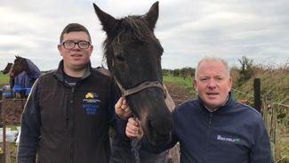 Meet 'Bobby' - the dam of Grand National hero Many Clouds and The Tullow Tank