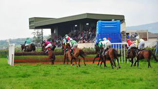 Insurance impasse rears its head again in Irish point-to-point sector