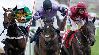 Should you back or avoid these five favourites at Cheltenham's November meeting this weekend?
