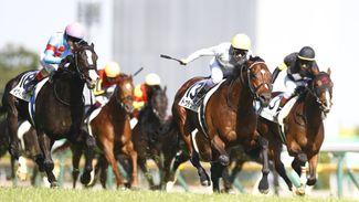 Last year's Japanese Derby hero Do Deuce returns to winning ways ahead of Dubai tilt