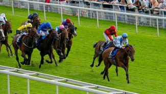 Koukash connection can work its magic in the Chester Cup again