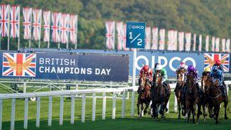 'We were as big as 33-1 but he's now second favourite' - bookmakers reveal their liabilities for British Champions Day