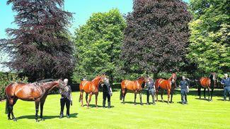 New regime at Godolphin has the chance for a fresh start with Coolmore