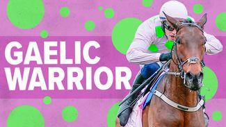 5.20 Punchestown: Gaelic Warrior 'the class horse' - but can he overcome strong stayers on first try at three miles?