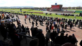 Beehives, boreholes and recycling: the racecourses embracing environmental sustainability