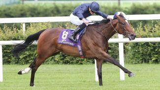 Epsom updates: 'Punters have latched on' - Ylang Ylang now red-hot favourite to give Aidan O'Brien more Oaks glory