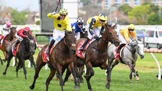 Caulfield Cup: 'It was a great spectacle' - Crisfords take pride in West Wind Blows' defeat to former stablemate Without A Fight