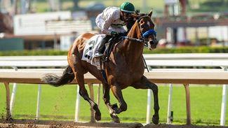 Flightline's half-brother eases to three-length win on debut to back-up bullet workouts
