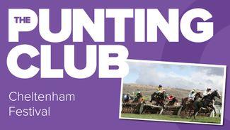 'He's the worst favourite at this year's meeting' - part two of our Cheltenham Festival Punting Club special