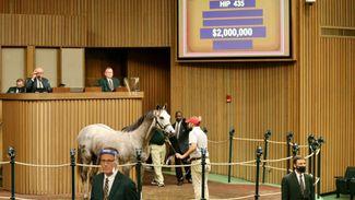 Shadwell back in business as $2 million Tapit colt stars at Keeneland