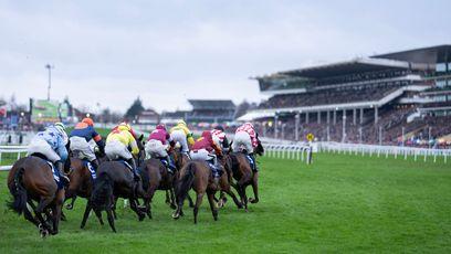 'Flat' Cheltenham needs dedicated festival boss and big changes to halt recent decline says former chief